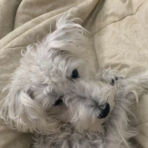 Meet your Posher, Zarabeth